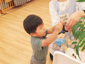 保育園児が七夕の飾りを飾っているところ