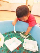 水遊びをする保育園児
