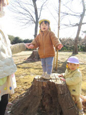 保育園児が外で遊ぶ様子